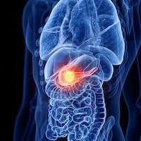 image of pancreas